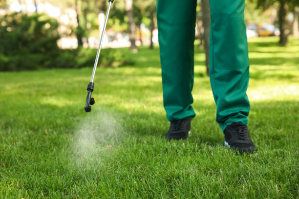 Best Local Pest Control Services  in Bridgeview, IL