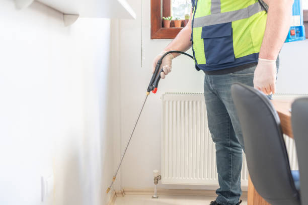 Best Pest Control Near Me  in Bridgeview, IL