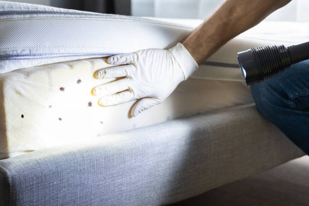 Pest Control Cost in Bridgeview, IL