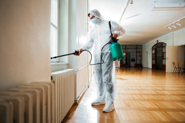 Trusted Bridgeview, IL Pest Control Experts
